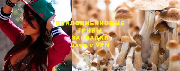PSILOCYBIN Балабаново