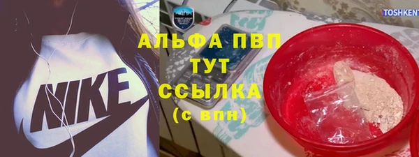 PSILOCYBIN Балабаново