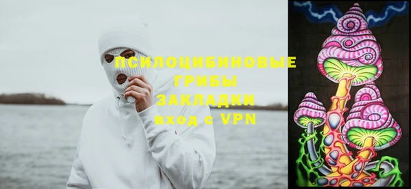стафф Балахна