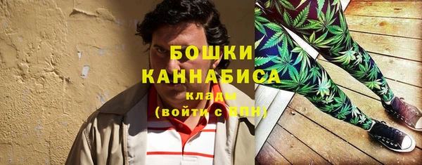 крисы Баксан