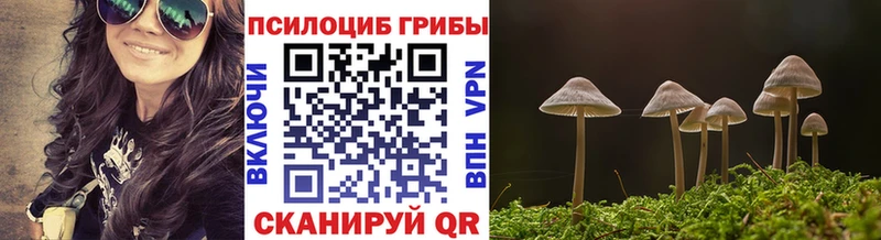 Купить где  Олонец  Галлюциногенные грибы мицелий 